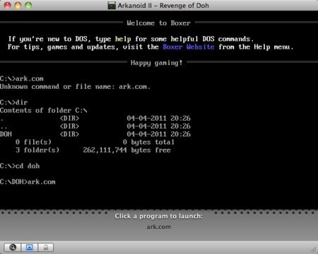 Ejecutando el programa en Boxer