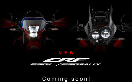 Honda Crf250l Crf250 Rally 2021 1