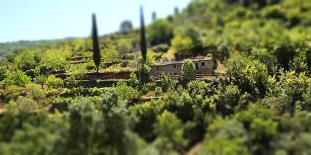 ¿Es hora de volver al campo?