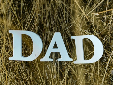 Dia Del Padre 3