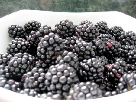 Moras: vitaminas y minerales para el deportista