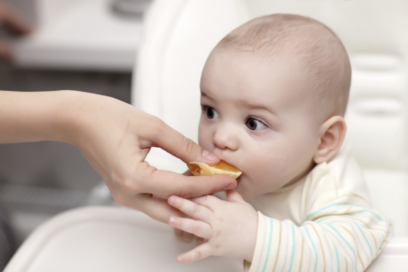 alimentos que deben comer los bebes de 6 meses