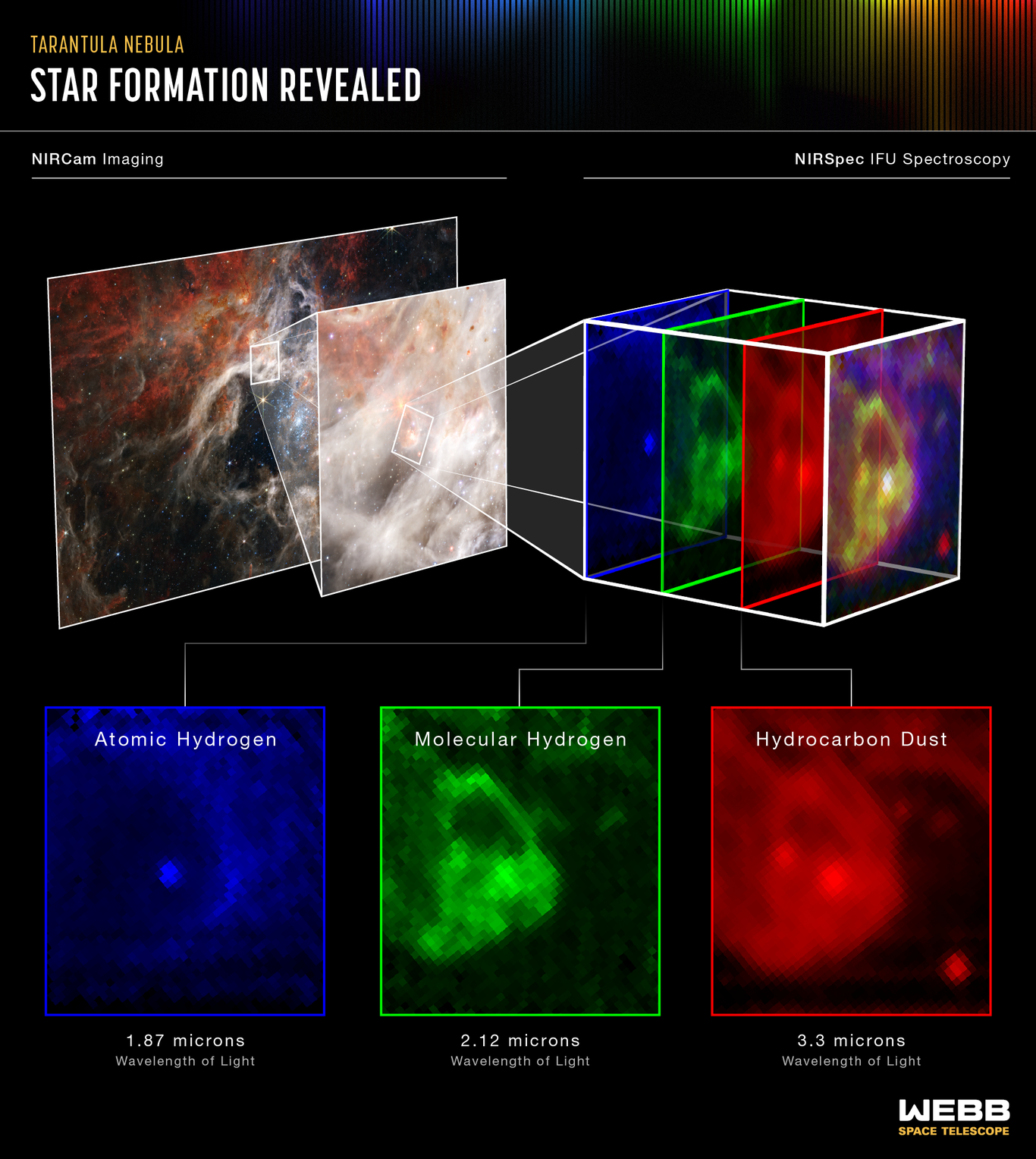 Ahora el telescopio James Webb capta nuevos detalles de la Nebulosa de ...