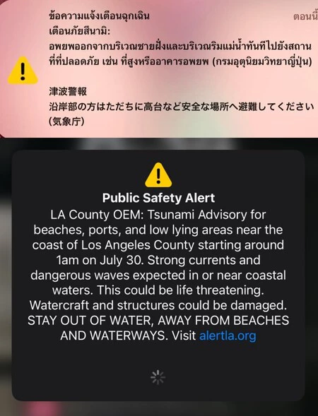 Alertas