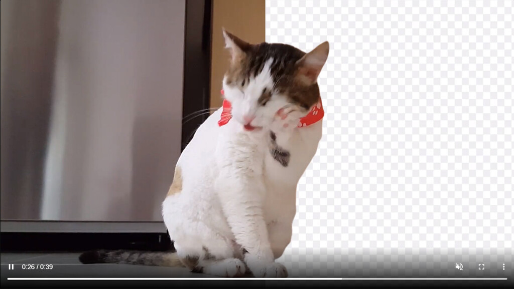 En este sitio puedes eliminar el fondo de un vídeo o GIF animado de forma automática y gratis