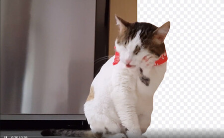 En este sitio puedes eliminar el fondo de un vídeo o GIF animado de forma automática y gratis