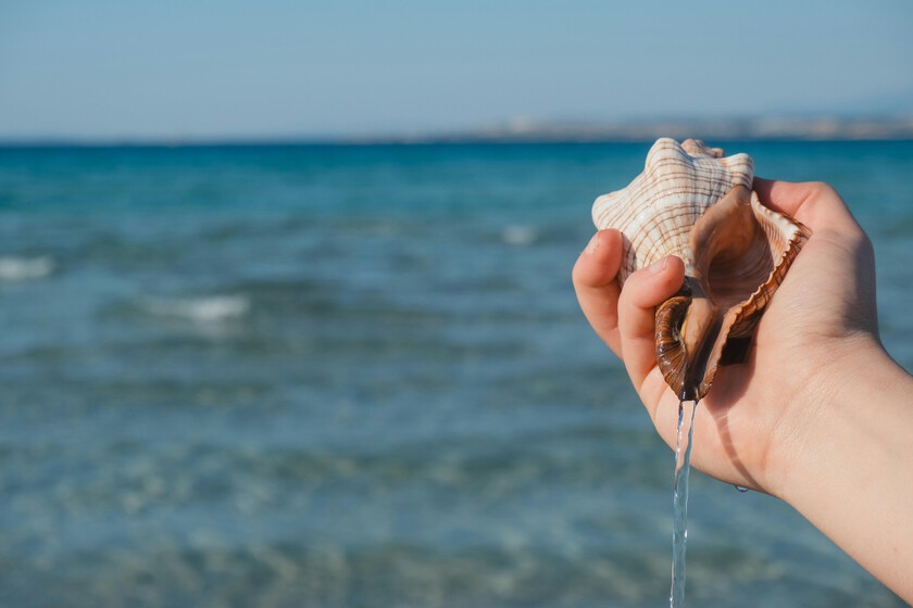 Soplar en una caracola: el insólito truco que puede ayudar a mejorar la apnea del sueño, según la ciencia