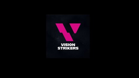 Vision Strickers