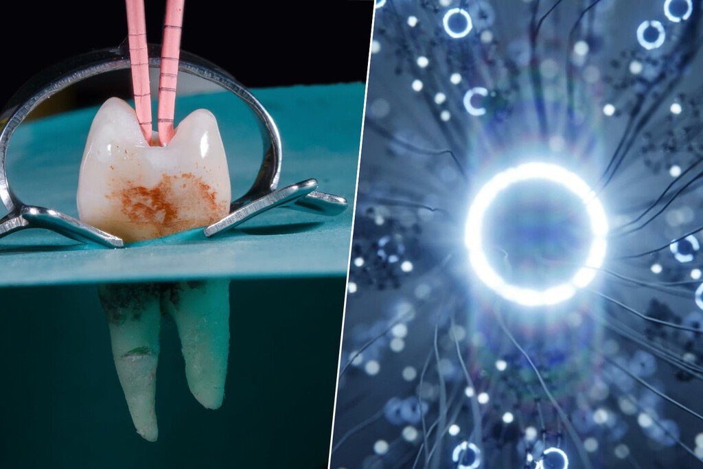 Hemos desarrollado un implante dental que parece sacado de 'Blade Runner': crece y es capaz de 'hackear' el cerebro 