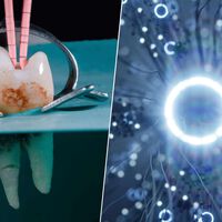 Hemos desarrollado un implante dental que parece sacado de 'Blade Runner': crece y es capaz de 'hackear' el cerebro 