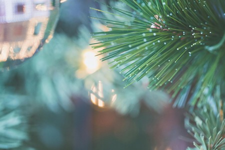 Pexels Thepaintedsquare 1646327