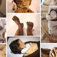 Momias de Quinto: abre el primer museo de momias en España 