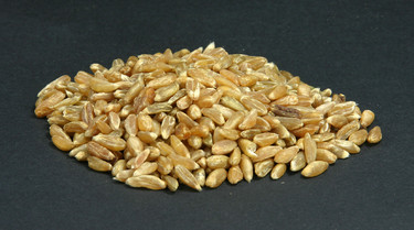 Más allá de la quinoa: el freekeh es el nuevo superalimento