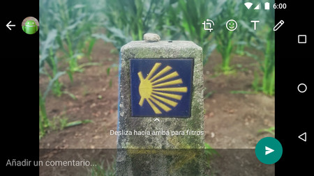 Cómo añadir filtros a tus fotos y estados de WhatsApp