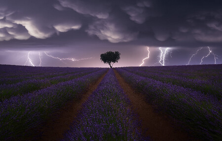 Sony World Photo Awards 2021