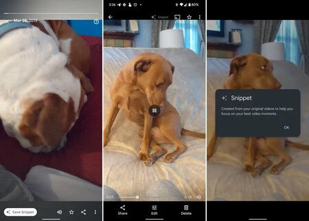 Google フォトのフラグメント