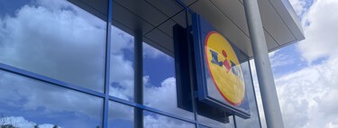 Lidl tiene la solución perfecta para ganar privacidad en tu balcón, terraza o jardín y cuesta menos de 12 euros