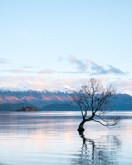 Hamish Clark 365162 Unsplash