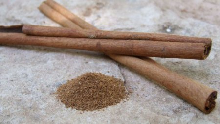 Canela, una excelente fuente de minerales