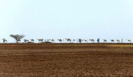 00kn01-im1001-chalbi-desert-1475.jpg