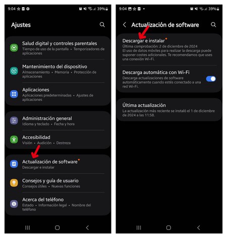 Software parche de seguridad