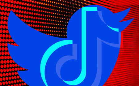 TwikTwok: llega la mezcla perfecta entre Twitter y TikTok