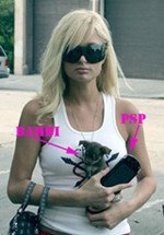 Paris Hilton ya tiene una PSP