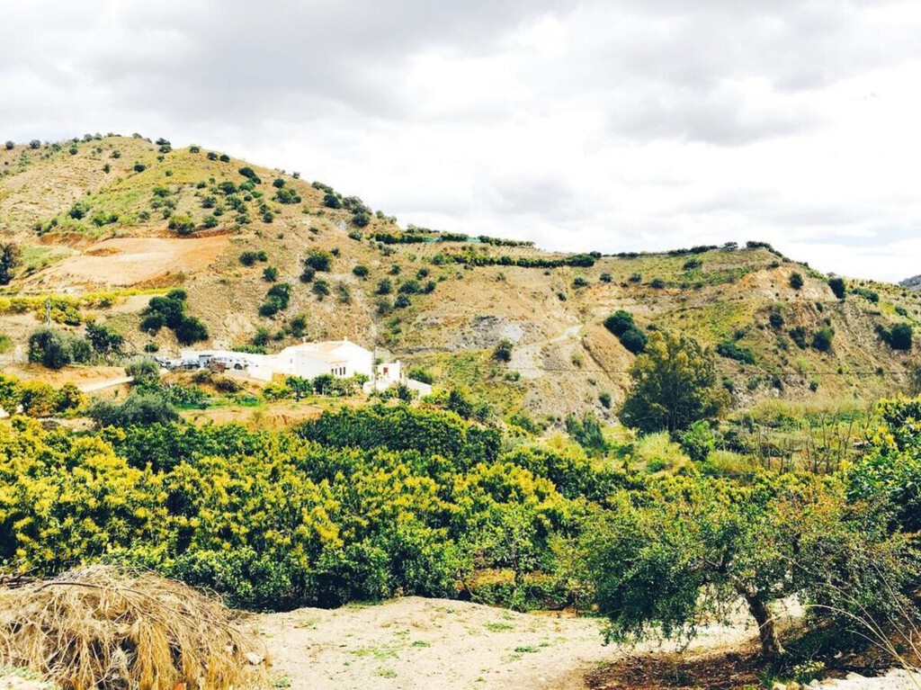 España afronta una sequía brutal y hay agricultores regando aguacates irregularmente. Un fiscal quiere que sea delito