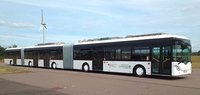 Nunca te subas sin pagar a un autobús alemán: un ama de casa podría enfadarse mucho contigo