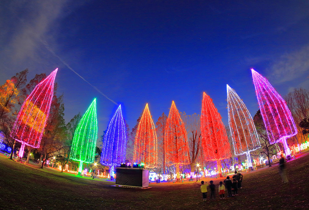 Adachi Luminous Night, el Festival de las luces que ilumina Tokio en diciembre