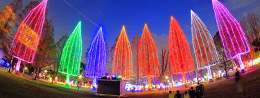 Adachi Luminous Night, el Festival de las luces que ilumina Tokio en diciembre