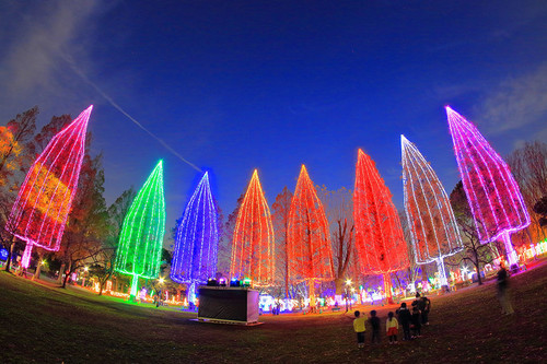 Adachi Luminous Night, el Festival de las luces que ilumina Tokio en diciembre