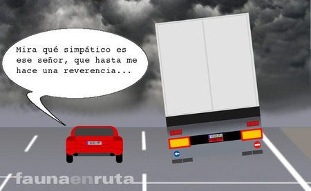 fauna en ruta: trailer