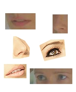 Adivina a que caras pertenecen...