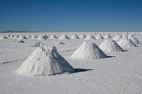 Relación entre la sal en la dieta y duración de la lactancia