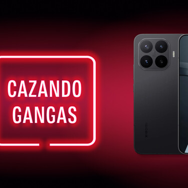 Cazando Gangas