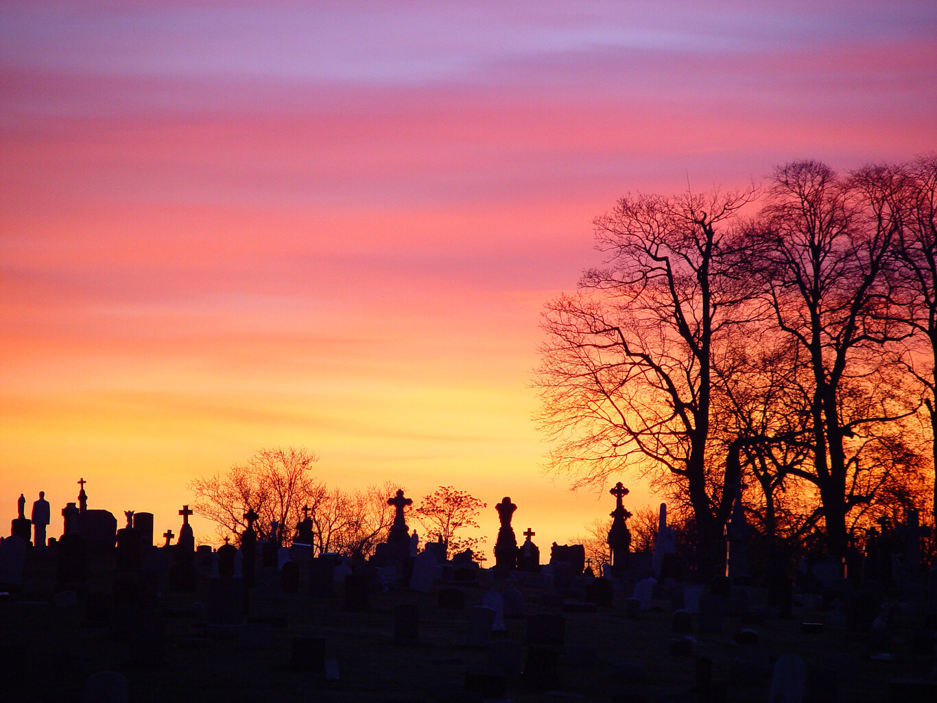 11 propuestas para pasarlo de miedo este extraño Halloween
