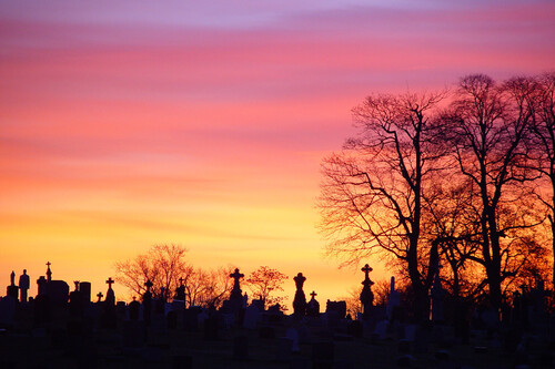 11 propuestas para pasarlo de miedo este extraño Halloween