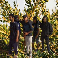 Las importaciones de aceite marroquí se disparan un 712% mientras los olivareros españoles denuncian el desplome de precios 