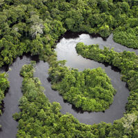 O rio infernal da Amazônia: suas águas chegam a 100 ºC, matam animais em segundos e origem do calor ainda é um mistério 