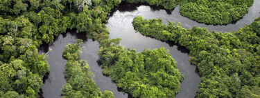 O rio infernal da Amazônia: suas águas chegam a 100 ºC, matam animais em segundos e origem do calor ainda é um mistério 