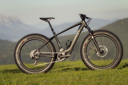 Specialized Turbo Levo Fat