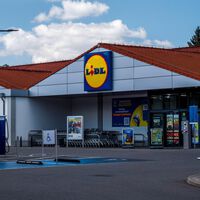 Lidl arrasa con la herramienta potente capaz de cortar metal, azulejos u hormigón por menos de 30 euros 