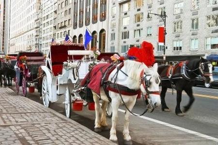 Los coches de caballos de Central Park podrían ser sustituidos por vehículos eléctricos de estilo clásico 