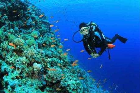 Beneficios físicos del buceo