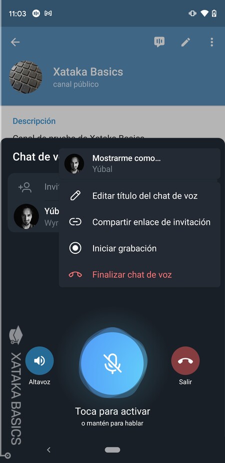 Opciones Chat