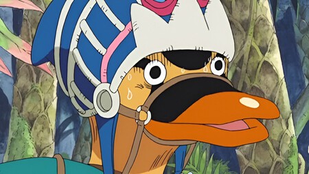 One Piece Karoo