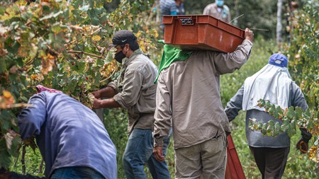 Pexels Gonzalo Acuna 166058093 10922982