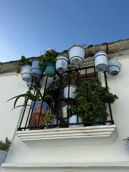 Pexels Petra Nesti 1766376 34340940