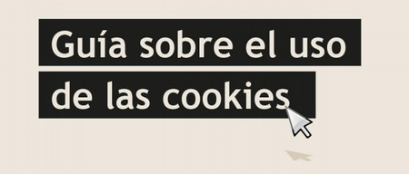 Primera guía sobre el uso de cookies de la AEPD